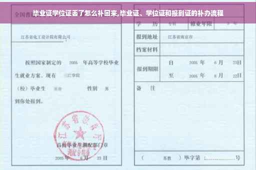 毕业证学位证丢了怎么补回来,毕业证、学位证和报到证的补办流程