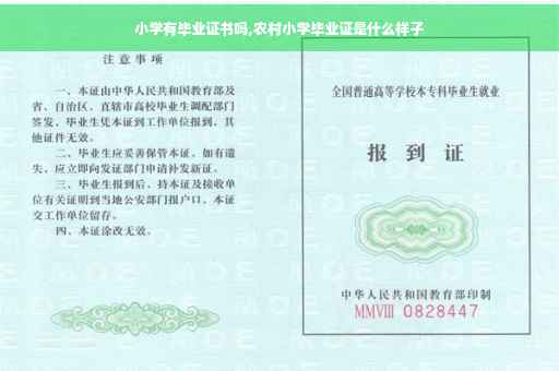 小学有毕业证书吗,农村小学毕业证是什么样子
