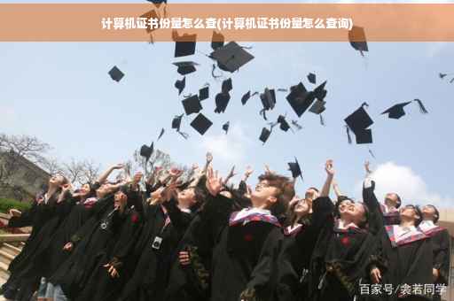 计算机证书份量怎么查(计算机证书份量怎么查询)