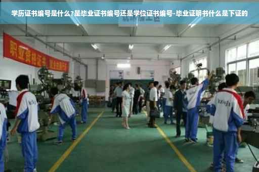 学历证书编号是什么?是毕业证书编号还是学位证书编号-毕业证明书什么是下证的