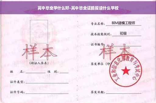 高中毕业学什么好-高中毕业证能报读什么学校