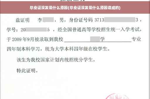 毕业证没发是什么原因(毕业证没发是什么原因造成的)