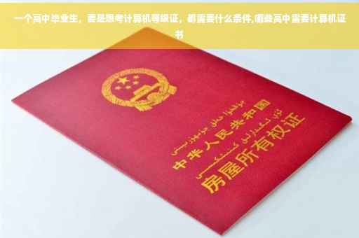 一个高中毕业生，要是想考计算机等级证，都需要什么条件,哪些高中需要计算机证书