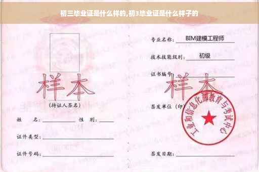 初三毕业证是什么样的,初3毕业证是什么样子的