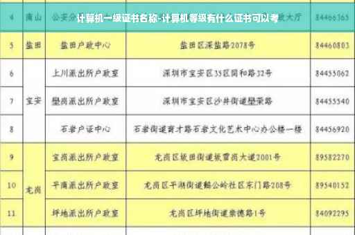 计算机一级证书名称-计算机等级有什么证书可以考