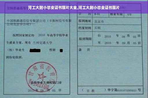 河工大附小毕业证书图片大全,河工大附小毕业证书图片