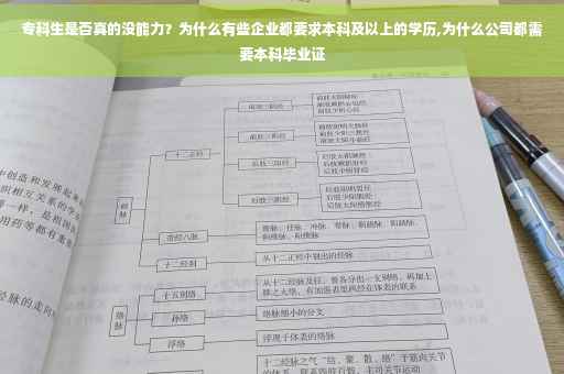 专科生是否真的没能力？为什么有些企业都要求本科及以上的学历,为什么公司都需要本科毕业证