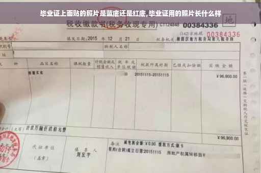 毕业证上面贴的照片是蓝底还是红底,毕业证用的照片长什么样