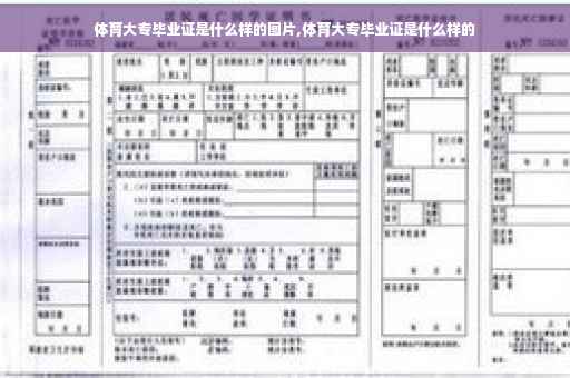 体育大专毕业证是什么样的图片,体育大专毕业证是什么样的