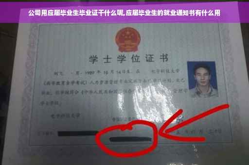 公司用应届毕业生毕业证干什么呢,应届毕业生的就业通知书有什么用 公司用应届毕业生毕业证干什么呢,应届毕业生的就业通知书有什么用
