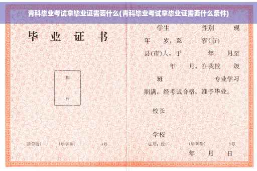 青科毕业考试拿毕业证需要什么(青科毕业考试拿毕业证需要什么条件)