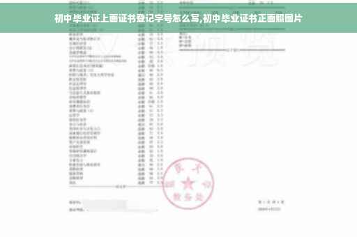 初中毕业证上面证书登记字号怎么写,初中毕业证书正面照图片
