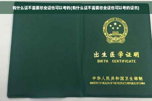 有什么证不需要毕业证也可以考的(有什么证不需要毕业证也可以考的证书)
