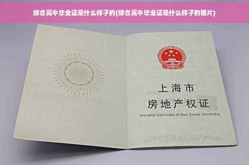 综合高中毕业证是什么样子的(综合高中毕业证是什么样子的图片)