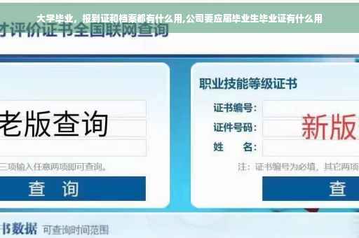 大学毕业，报到证和档案都有什么用,公司要应届毕业生毕业证有什么用