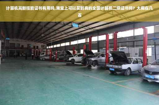 计算机高新技能证书有用吗,淘宝上可以买到真的全国计算机二级证书吗？大概在几百