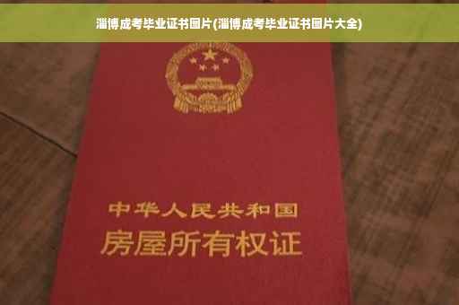 淄博成考毕业证书图片(淄博成考毕业证书图片大全)