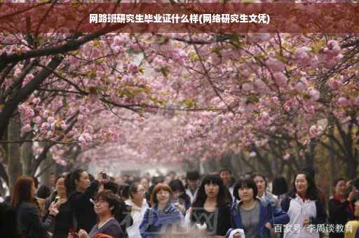 网路班研究生毕业证什么样(网络研究生文凭)