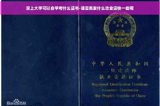 没上大学可以自学考什么证书-语言类发什么毕业证快一些呢