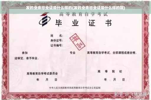 发的业余毕业证是什么样的(发的业余毕业证是什么样的啊)