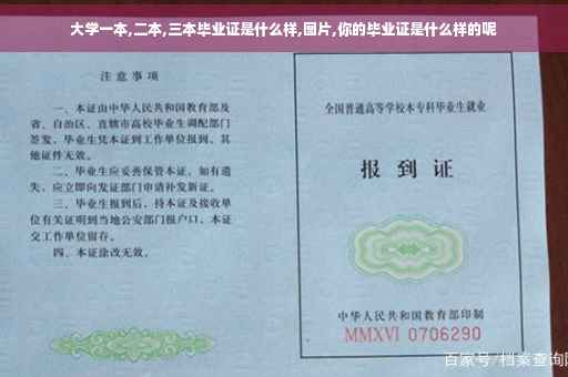 大学一本,二本,三本毕业证是什么样,图片,你的毕业证是什么样的呢