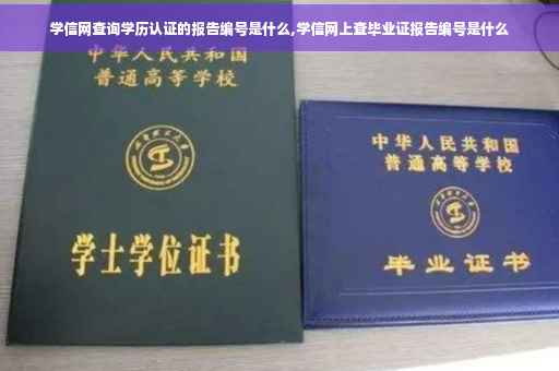 学信网查询学历认证的报告编号是什么,学信网上查毕业证报告编号是什么