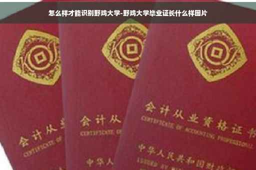 怎么样才能识别野鸡大学-野鸡大学毕业证长什么样图片