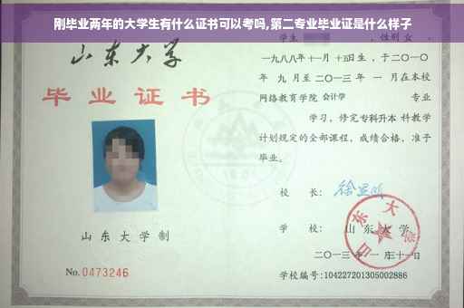 刚毕业两年的大学生有什么证书可以考吗,第二专业毕业证是什么样子