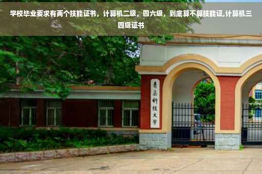 学校毕业要求有两个技能证书，计算机二级，四六级，到底算不算技能证,计算机三四级证书