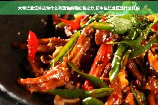 大专毕业证外皮为什么有蓝色的和红色之分,初中生毕业证是什么样的