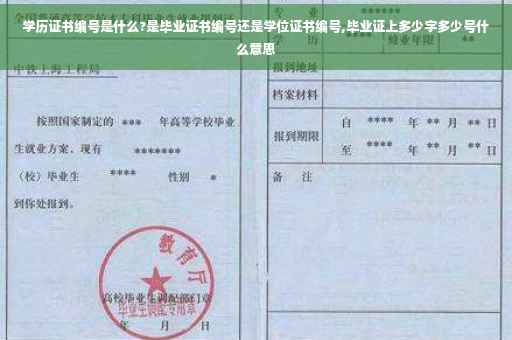 学历证书编号是什么?是毕业证书编号还是学位证书编号,毕业证上多少字多少号什么意思