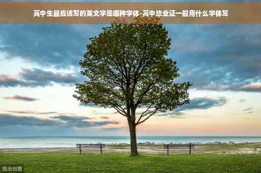 高中生最应该写的英文字是哪种字体-高中毕业证一般用什么字体写