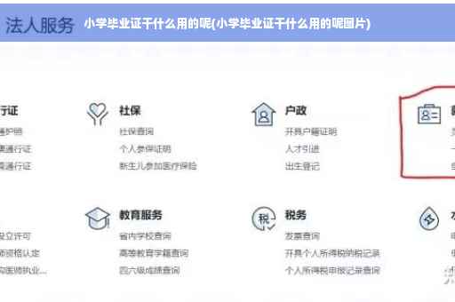 小学毕业证干什么用的呢(小学毕业证干什么用的呢图片)