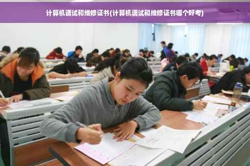 计算机调试和维修证书(计算机调试和维修证书哪个好考)