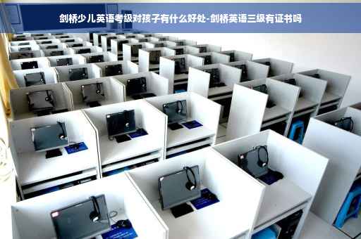 剑桥少儿英语考级对孩子有什么好处-剑桥英语三级有证书吗