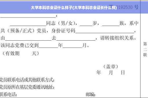 大学本科毕业证什么样子(大学本科毕业证长什么样)