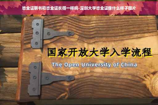 毕业证明书和毕业证长得一样吗-深圳大学毕业证像什么样子图片