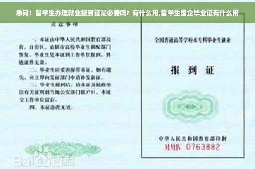 急问！留学生办理就业报到证是必要吗？有什么用,留学生国企毕业证有什么用