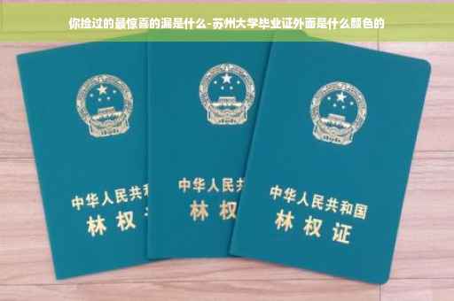 你捡过的最惊喜的漏是什么-苏州大学毕业证外面是什么颜色的
