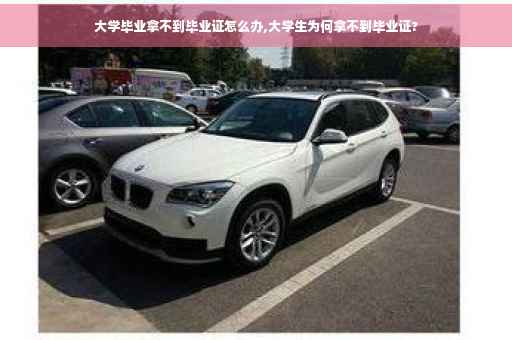 大学毕业拿不到毕业证怎么办,大学生为何拿不到毕业证?