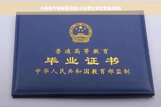 小自考大专有证书吗(小自考大专文凭有用吗)