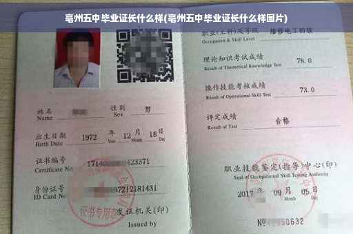 亳州五中毕业证长什么样(亳州五中毕业证长什么样图片)