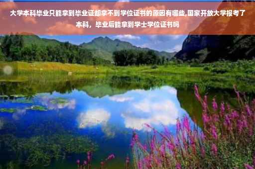 大学本科毕业只能拿到毕业证却拿不到学位证书的原因有哪些,国家开放大学报考了本科，毕业后能拿到学士学位证书吗