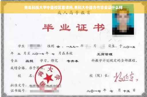 青岛科技大学中德校区靠谱吗,青科大中德合作毕业证什么样