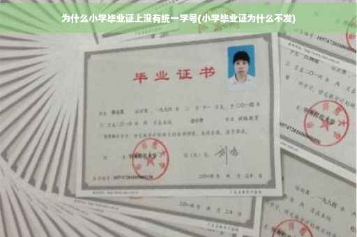 为什么小学毕业证上没有统一学号(小学毕业证为什么不发)