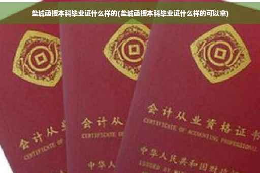 盐城函授本科毕业证什么样的(盐城函授本科毕业证什么样的可以拿)
