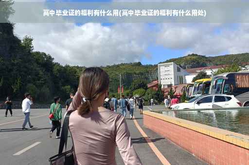 高中毕业证的福利有什么用(高中毕业证的福利有什么用处)