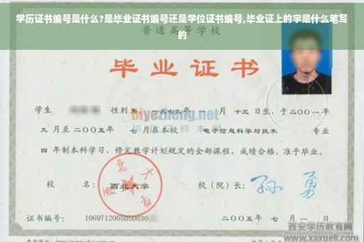 学历证书编号是什么?是毕业证书编号还是学位证书编号,毕业证上的字是什么笔写的