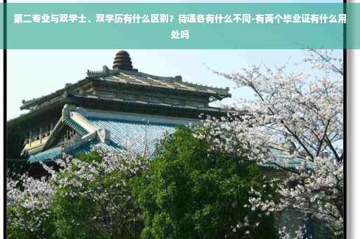 第二专业与双学士、双学历有什么区别？待遇各有什么不同-有两个毕业证有什么用处吗
