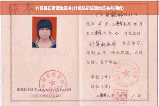 计算机初级运维证书(计算机初级运维证书有用吗)